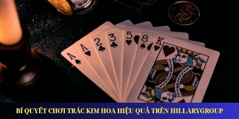 Bí quyết chơi Trác Kim Hoa hiệu quả trên HillaryGroup
